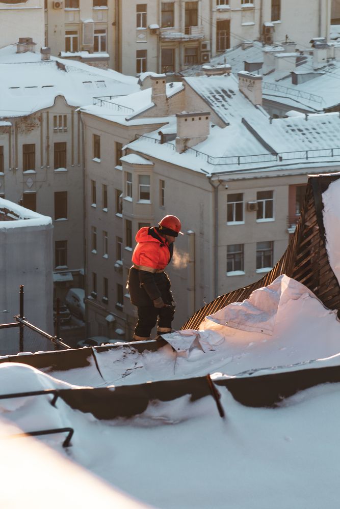 Фотография автора Денис Мартыновский