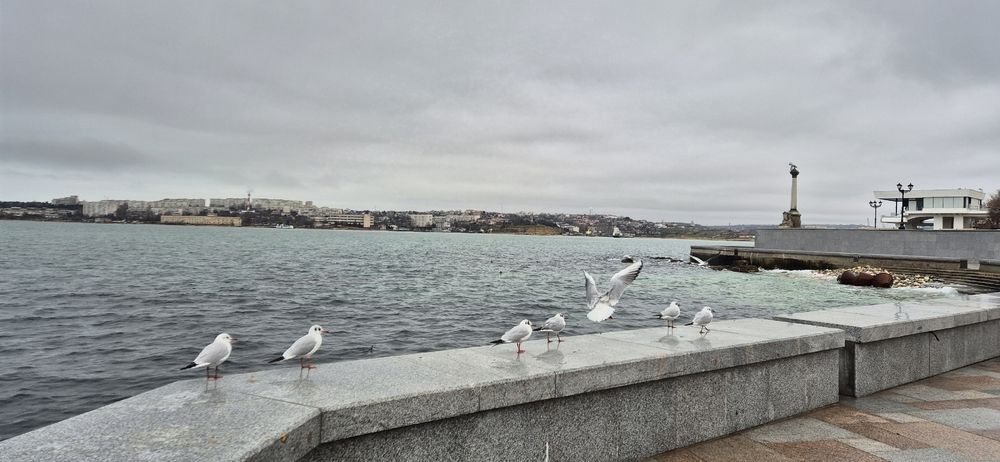 Photograph by Ольга Мусина