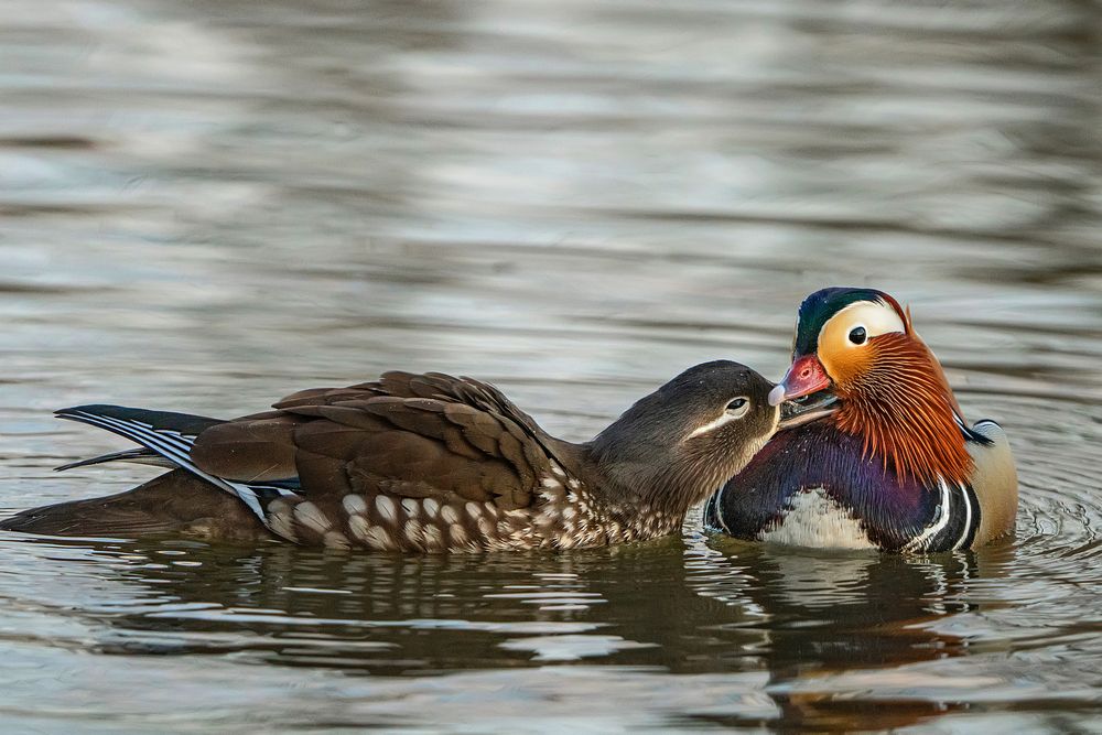 Photograph by Ольга Мусиенко