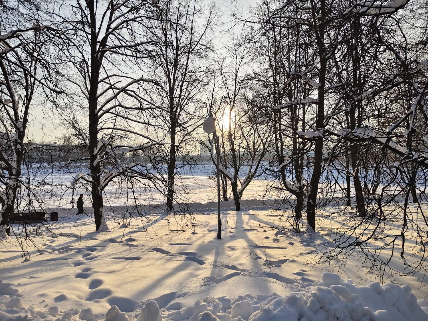 Photo #13351995