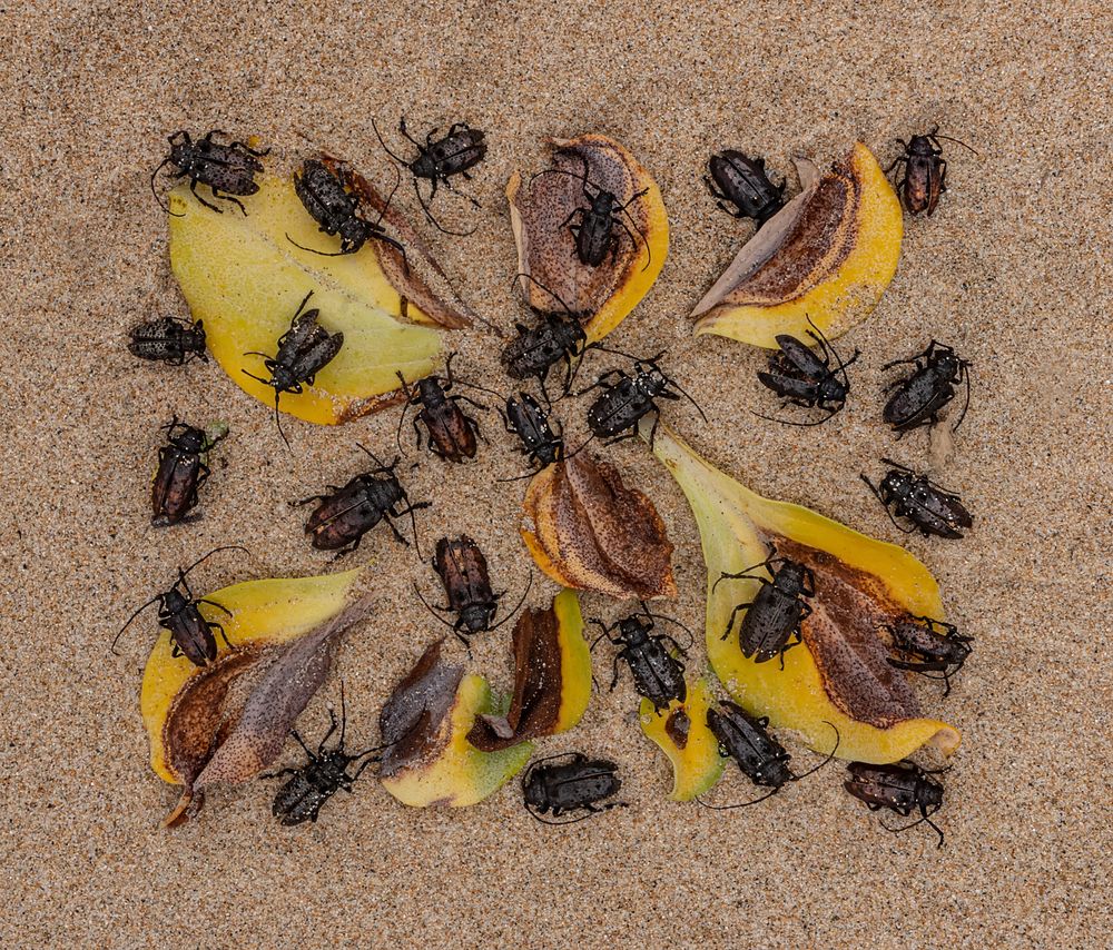 Photograph by Ольга Мусиенко