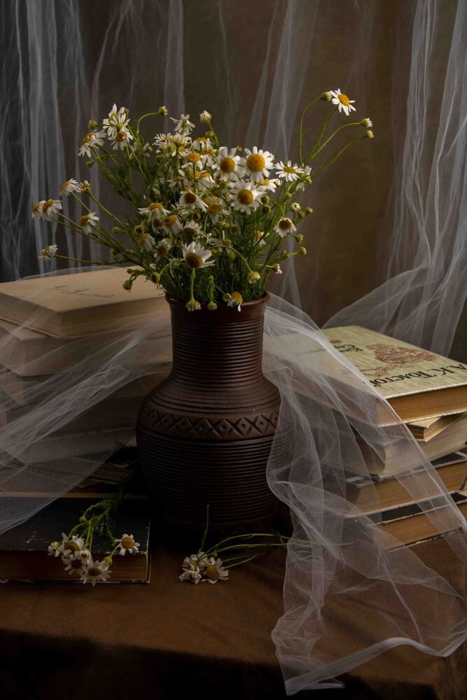 Photograph by Ольга Пшенцова