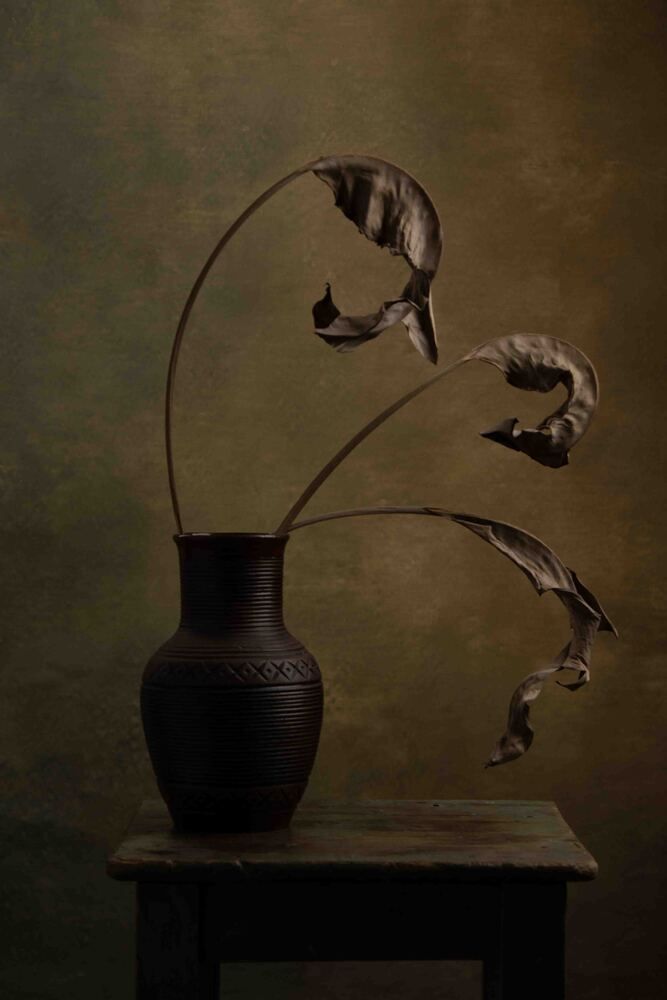 Photograph by Ольга Пшенцова