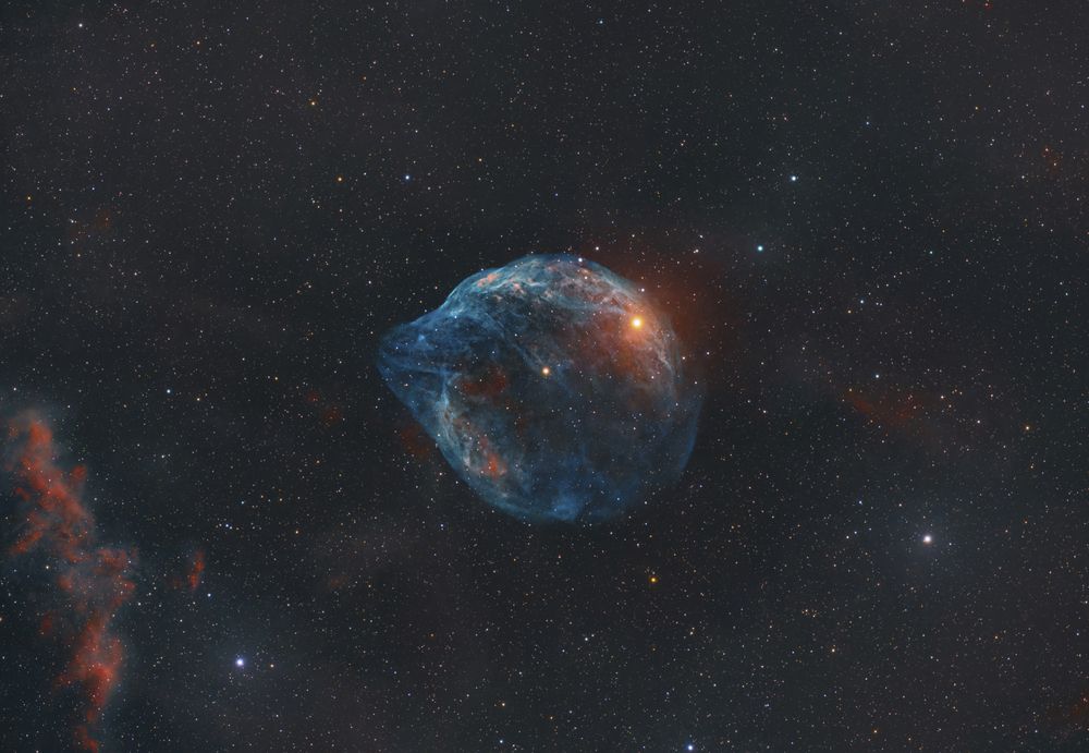 The Dolphin Head Nebula