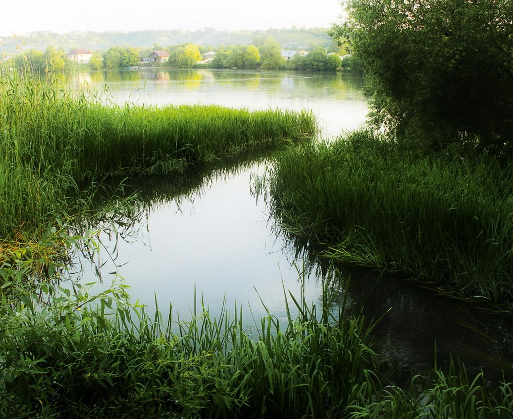 Photograph by Сергей Пузырев