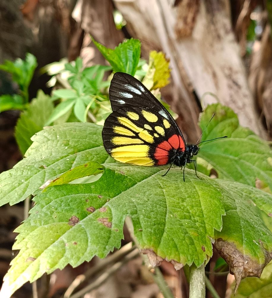 Photograph by Tina Gogoi