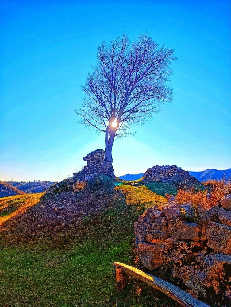 Фотография автора Вера Морозова