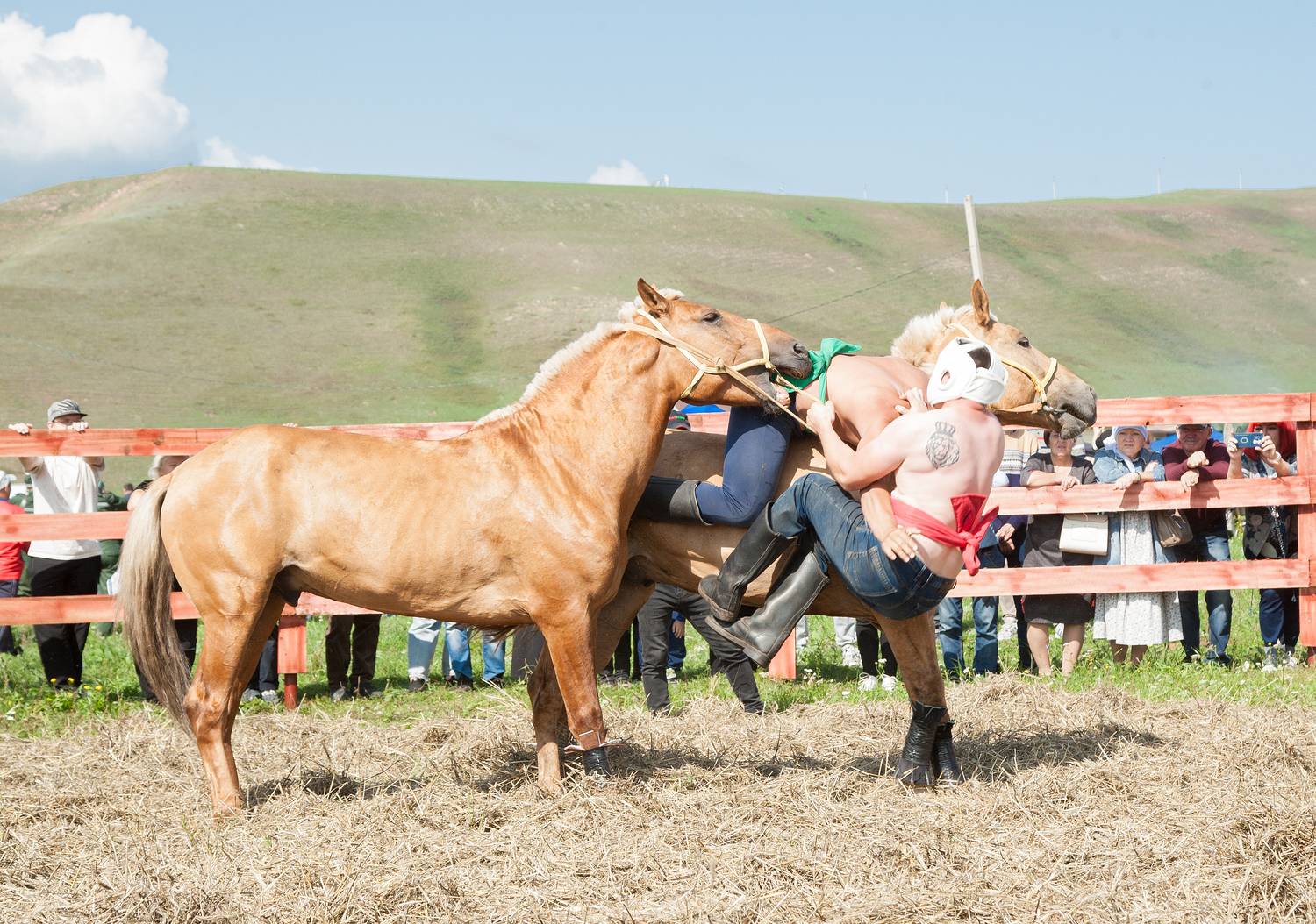 Photo #13352292