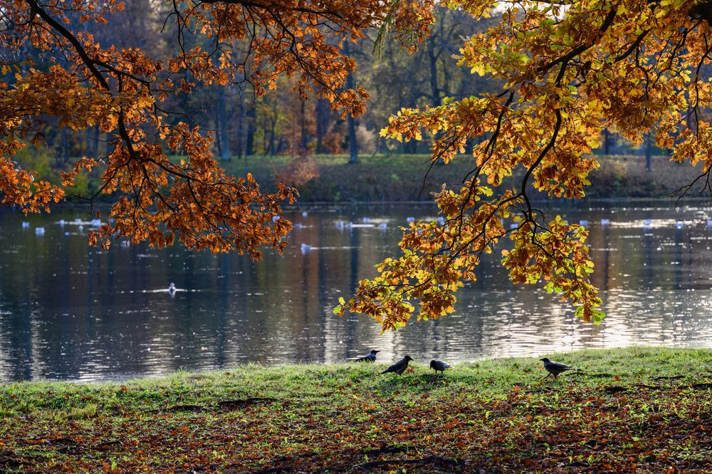Осень на реке