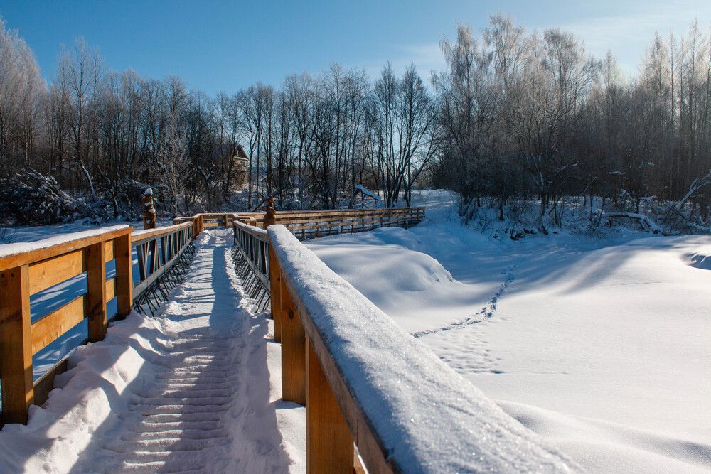 Photograph by Анастасия Красикова