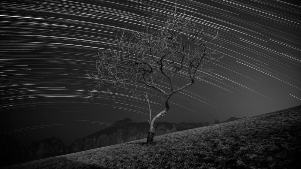 Dancing Alone on the Mountain Peak