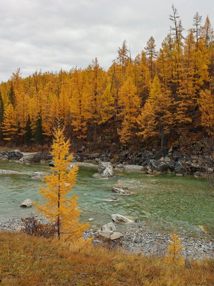 Photograph by Марина Кощеева