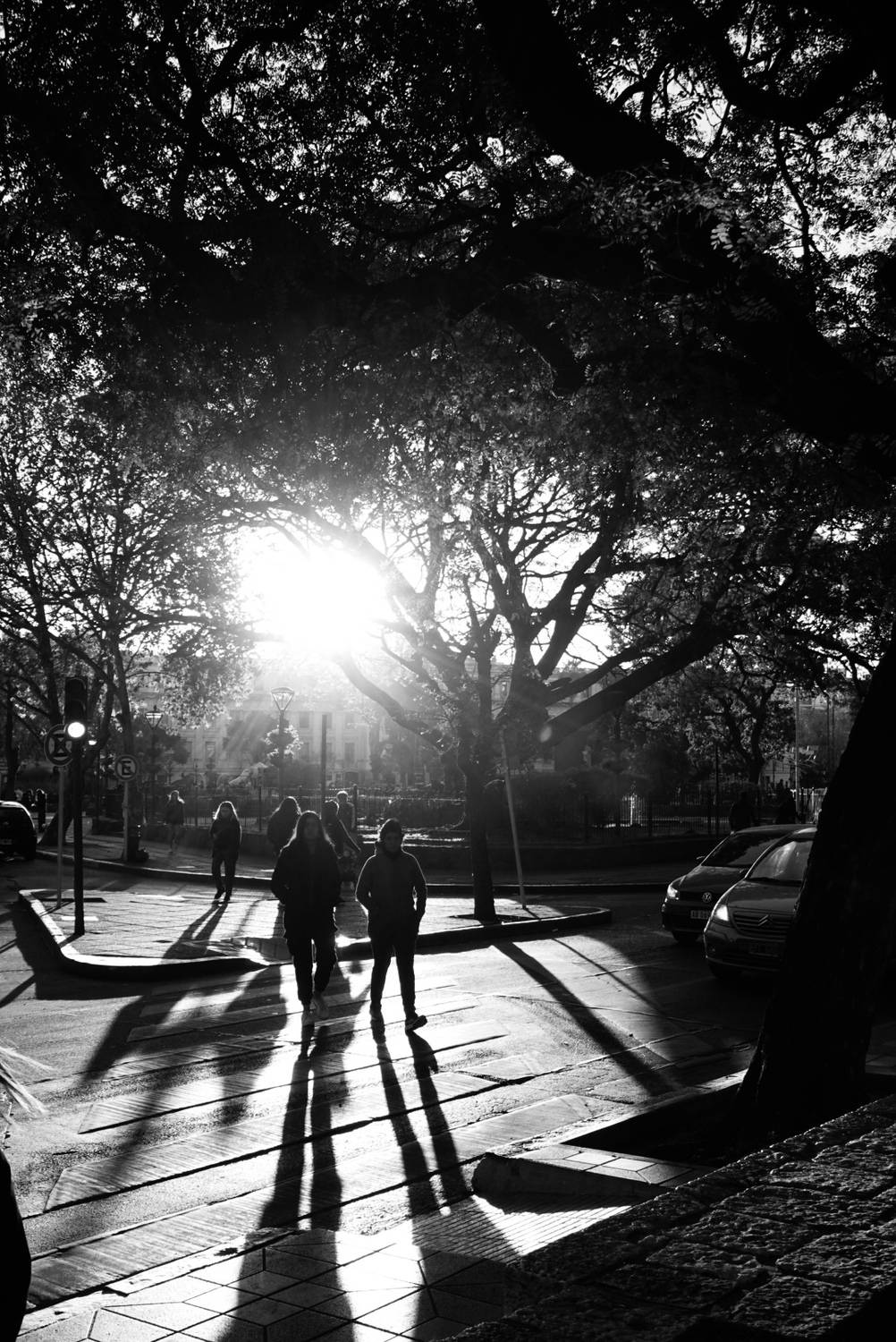 Photo #13352507