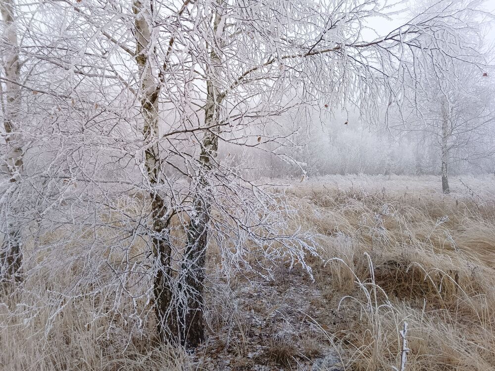 Photograph by Кондрашова Светлана