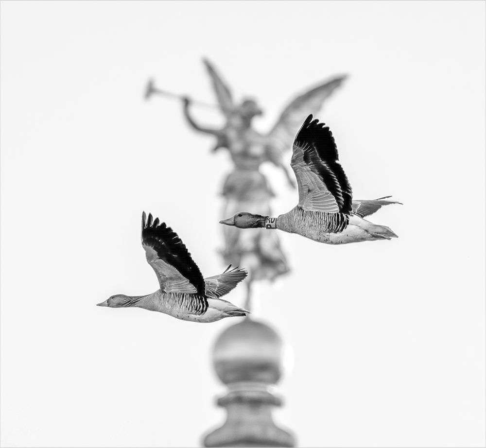Photograph by Christiane Heggemann