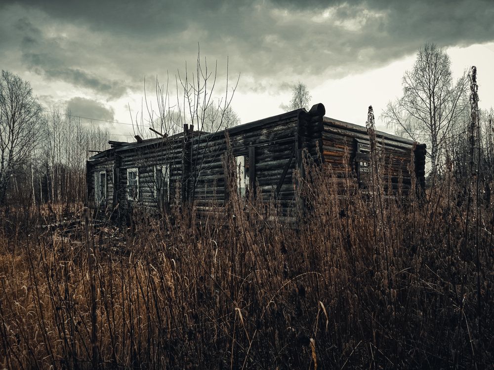 Photograph by Елена