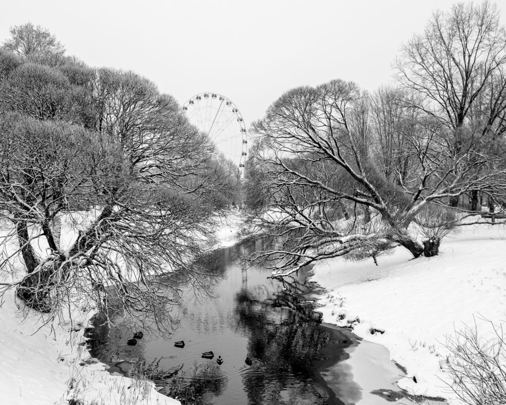 The Quiet Loop