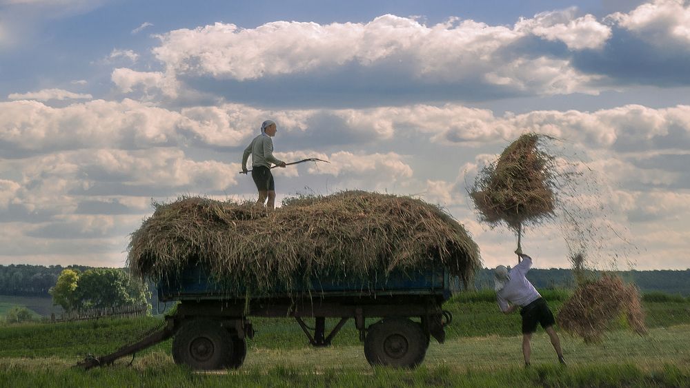 Photograph by Светлана Урманцева