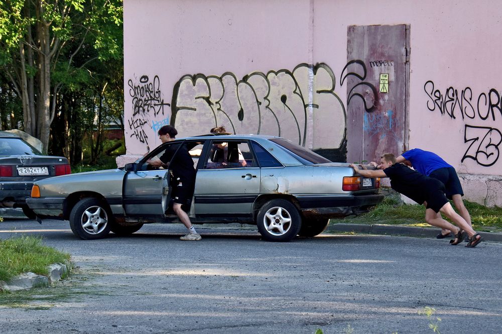 Тяни-толкай/ 2024