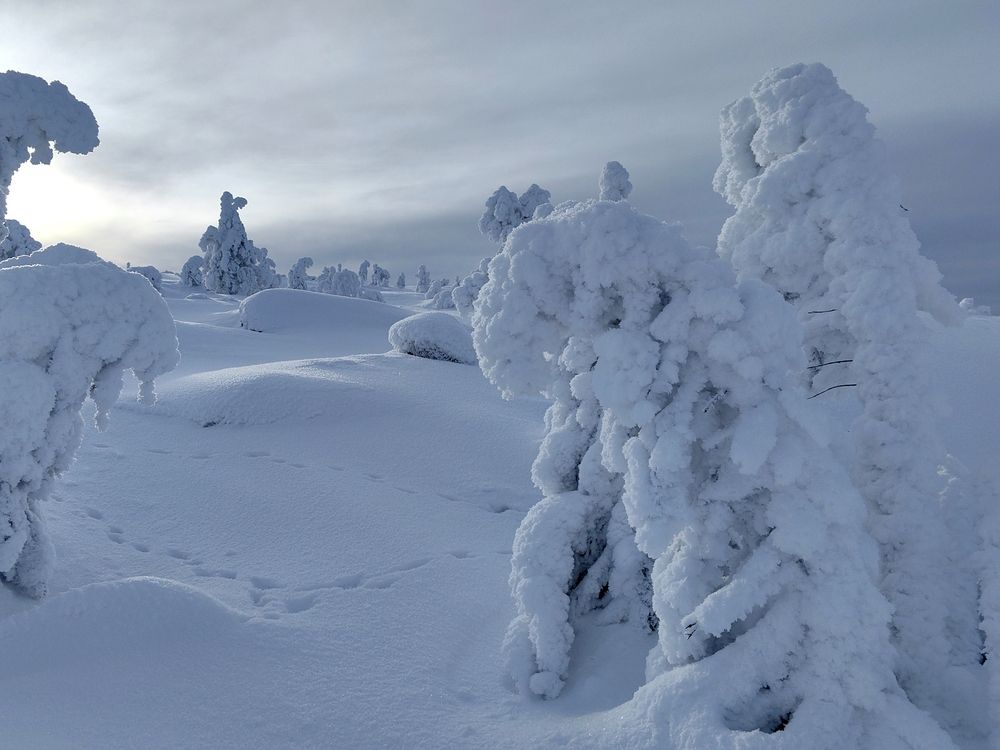 Photograph by OLGA MIKHNEVICH