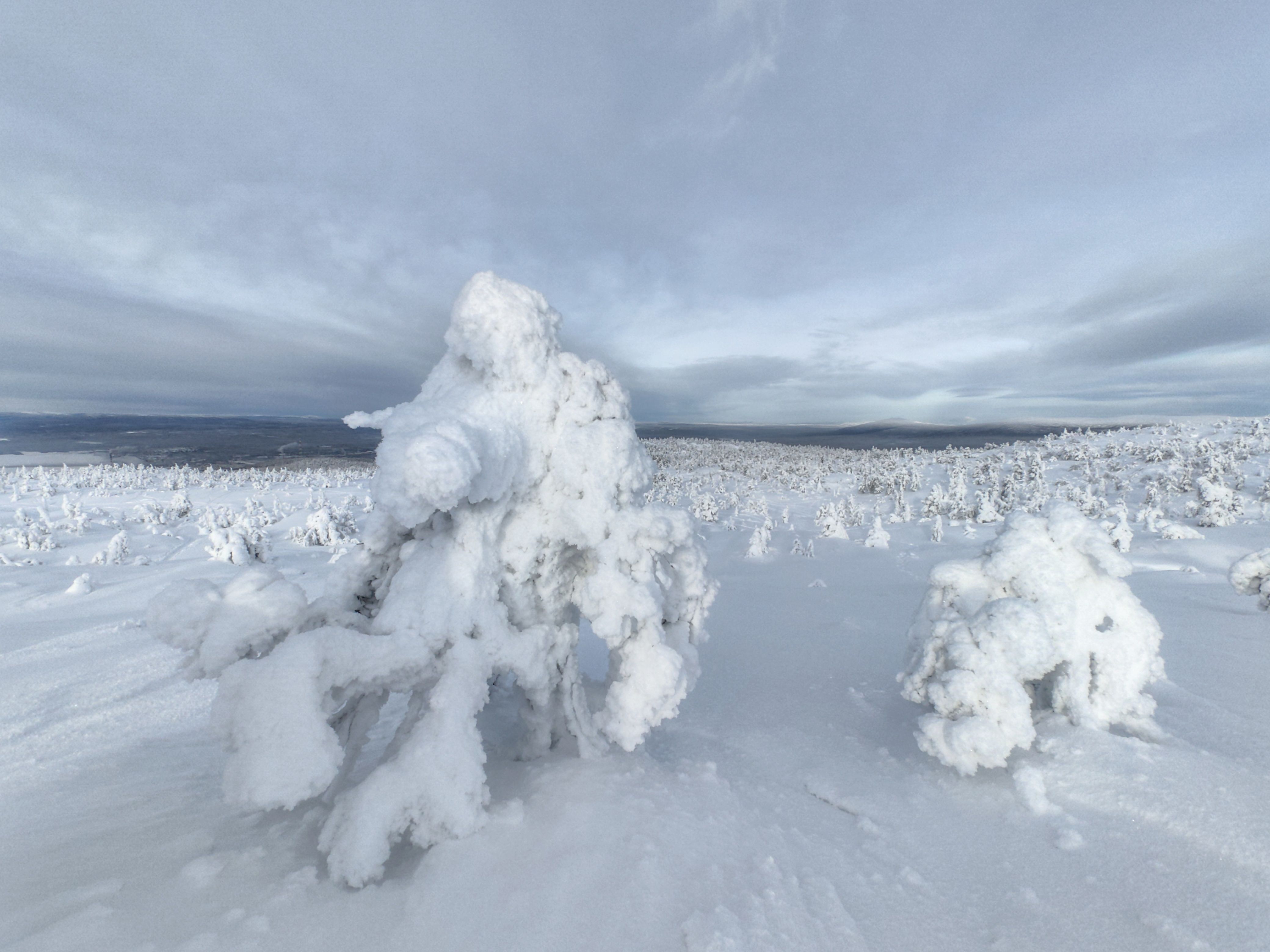 Photograph by OLGA MIKHNEVICH