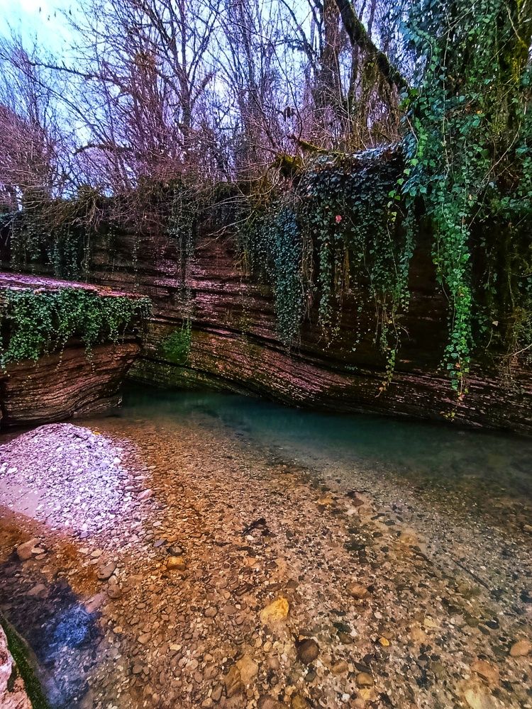 Фотография автора Вера Морозова