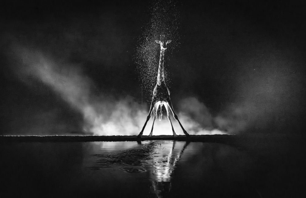 Photograph by Сулоев Алексей