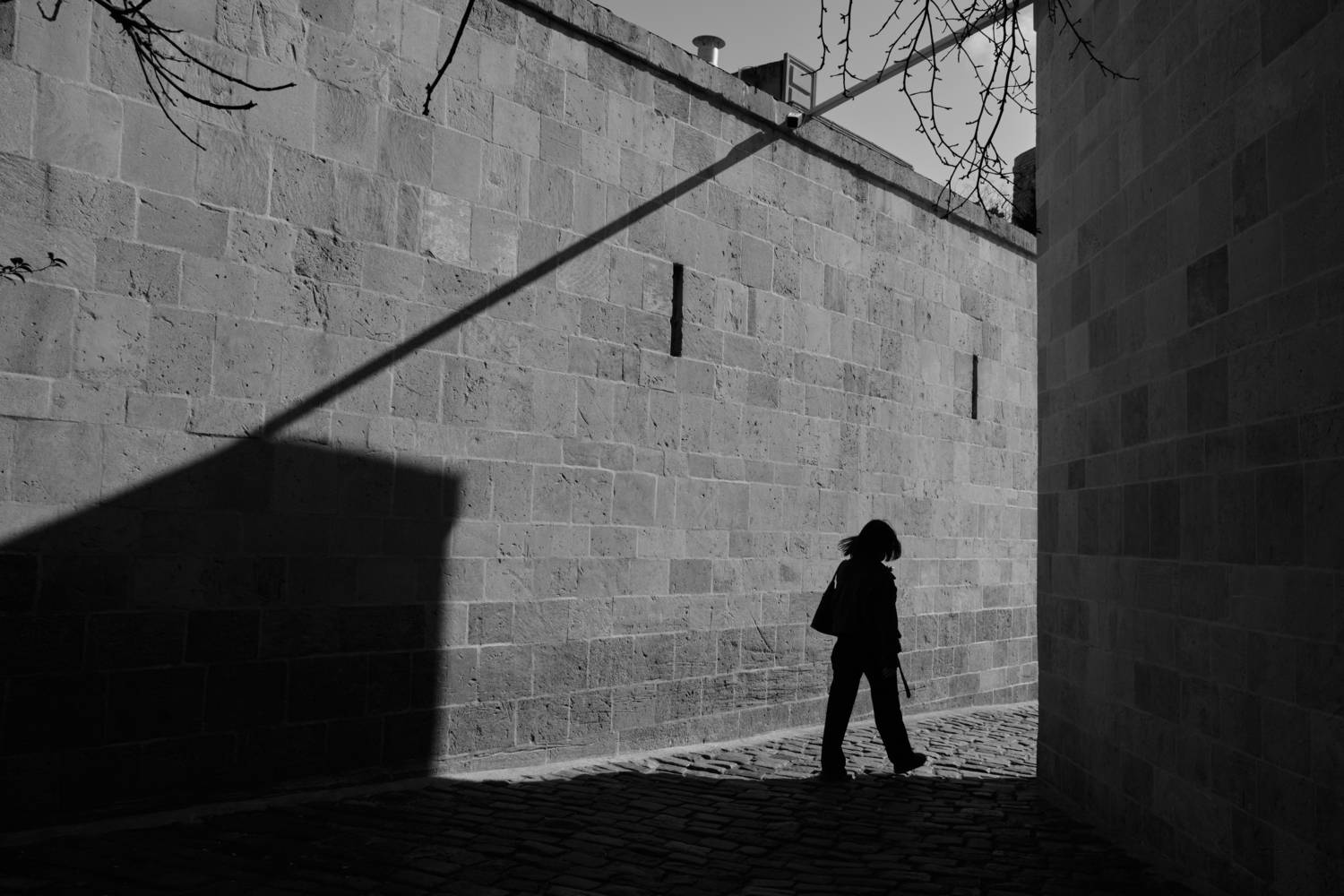 Photo #13353092