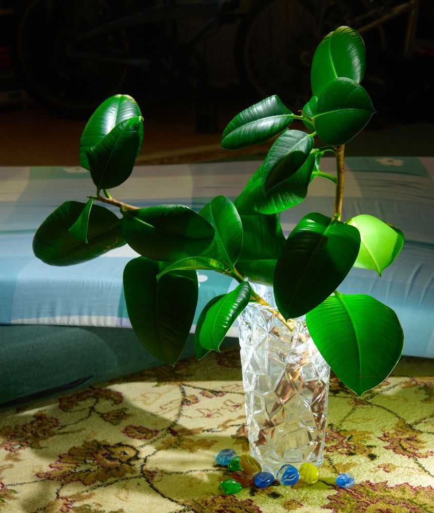 Photograph by Adil Kuandykov