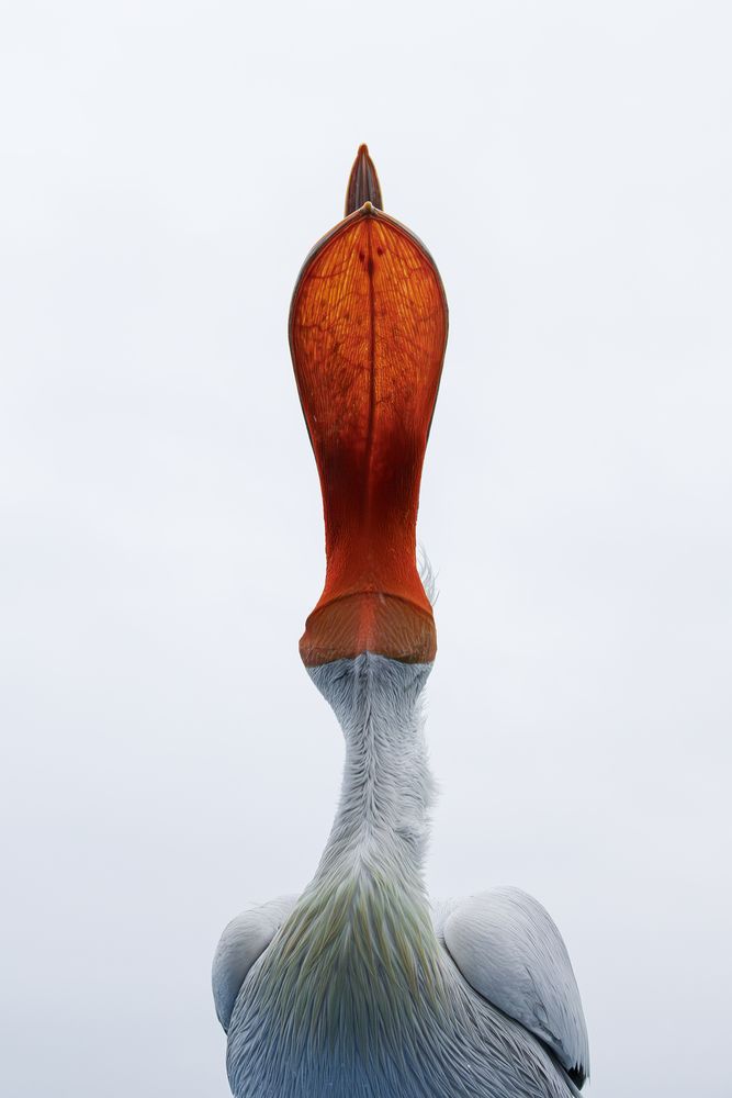 Differend point of view