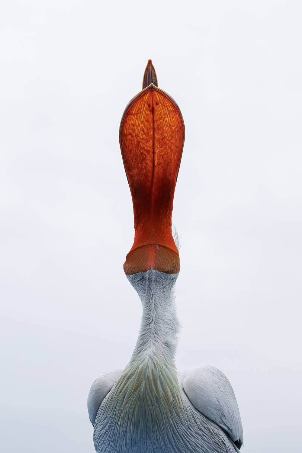 Differend point of view