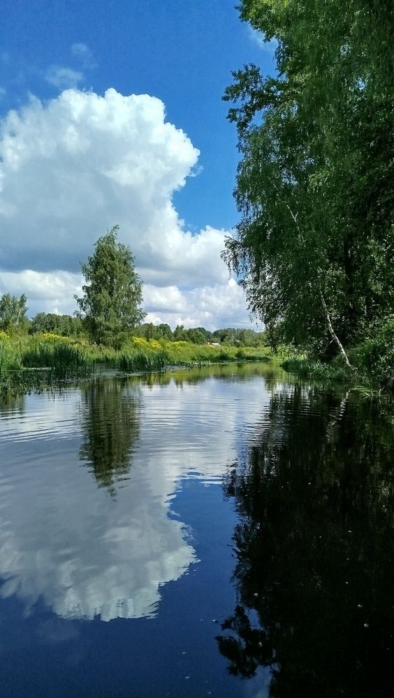 Фотография автора Елена Опалева
