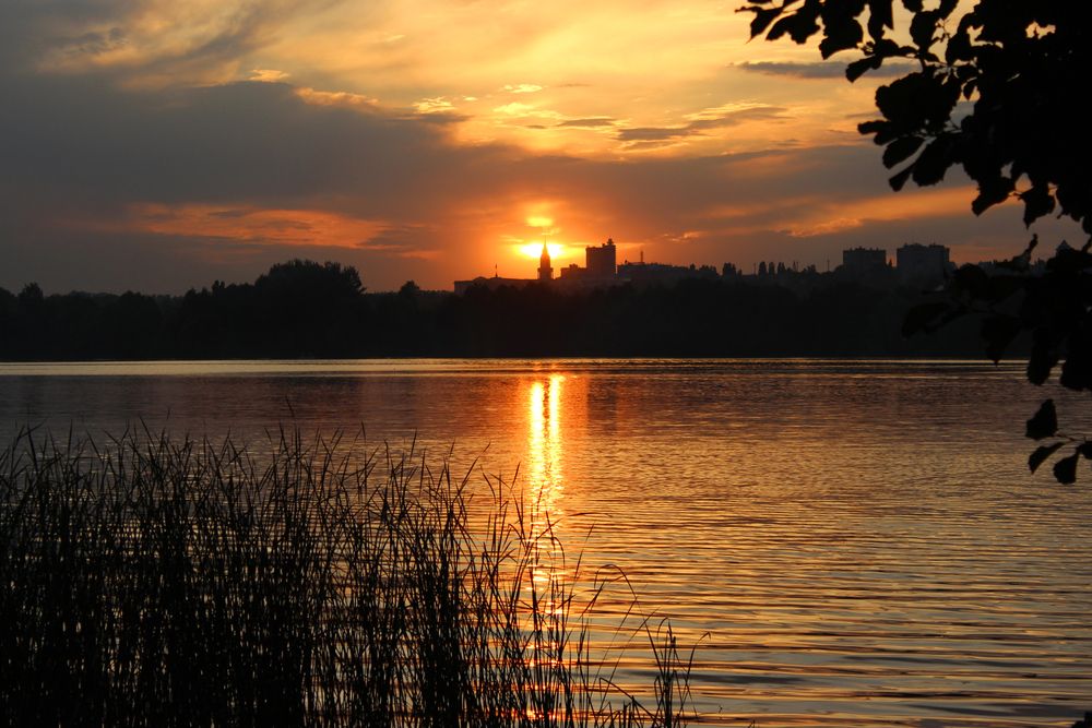 Photograph by Светлана Шубина