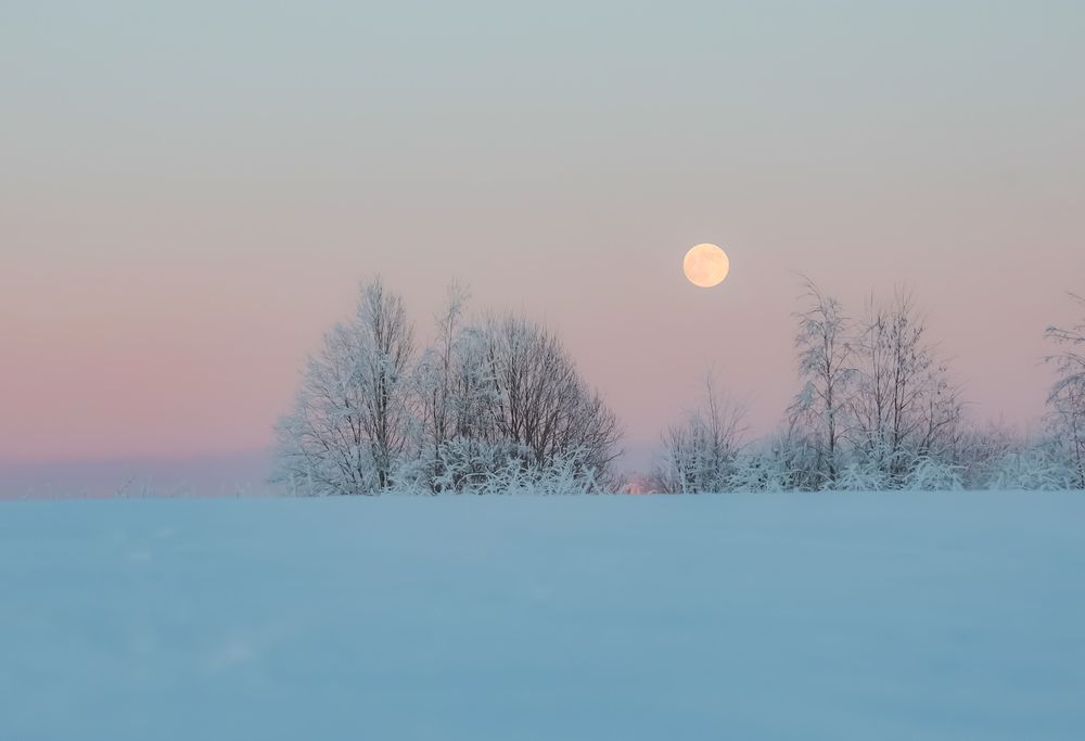 Photograph by Анастасия Алтабаева