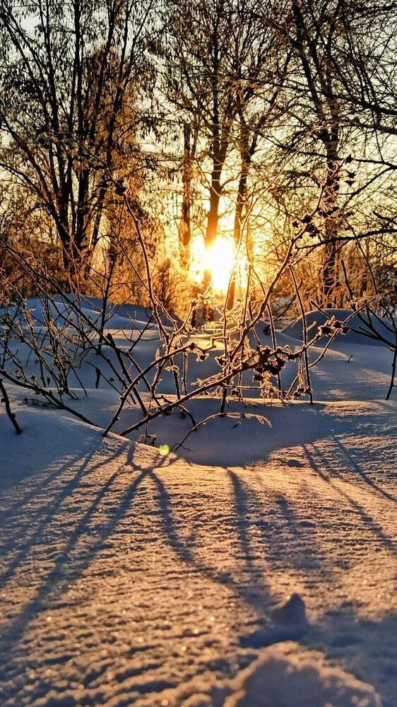 Зимнее утро