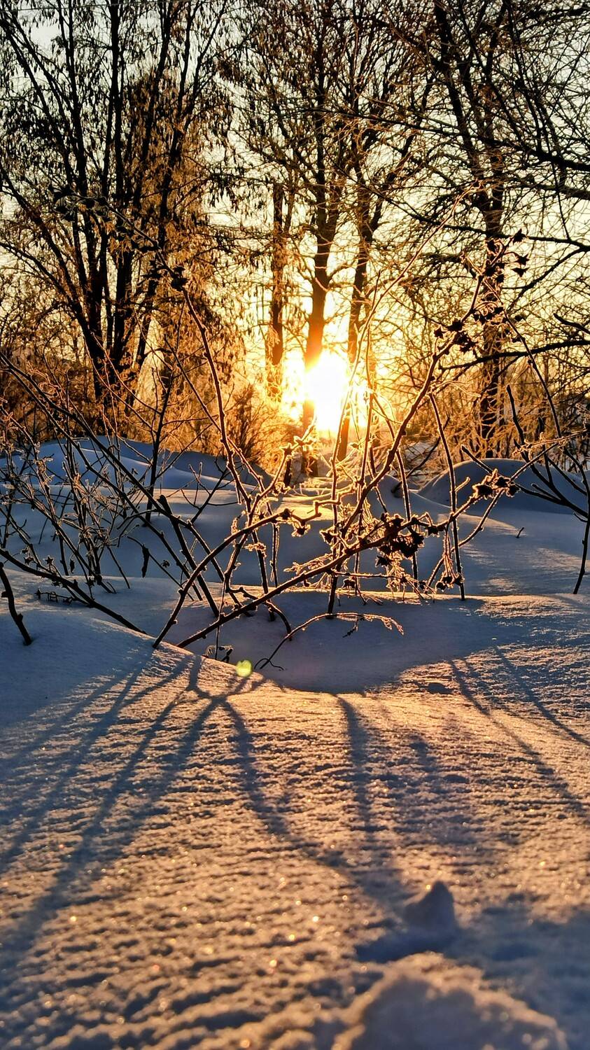 Зимнее утро