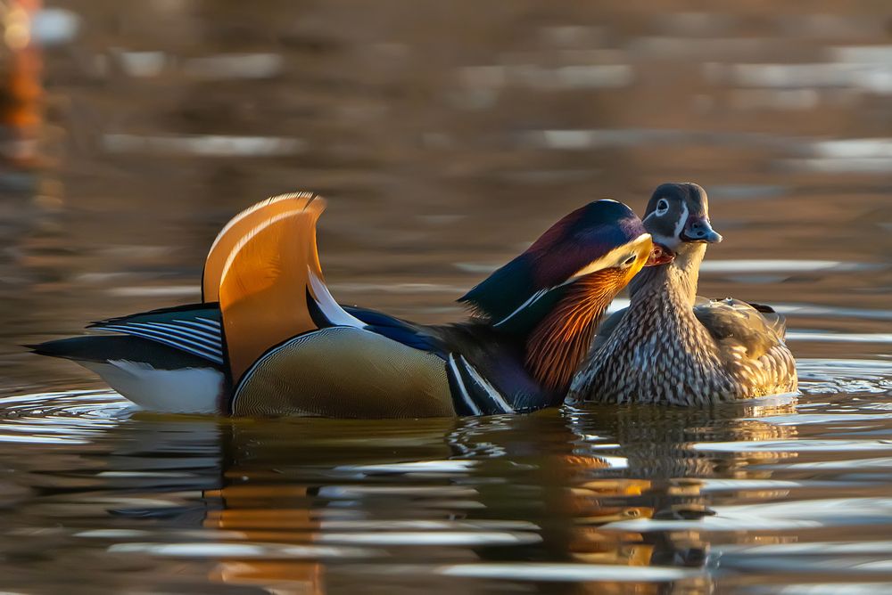 Photograph by Ольга Мусиенко