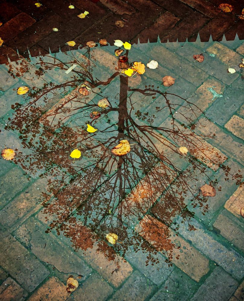 Photograph by Сергей Арямов