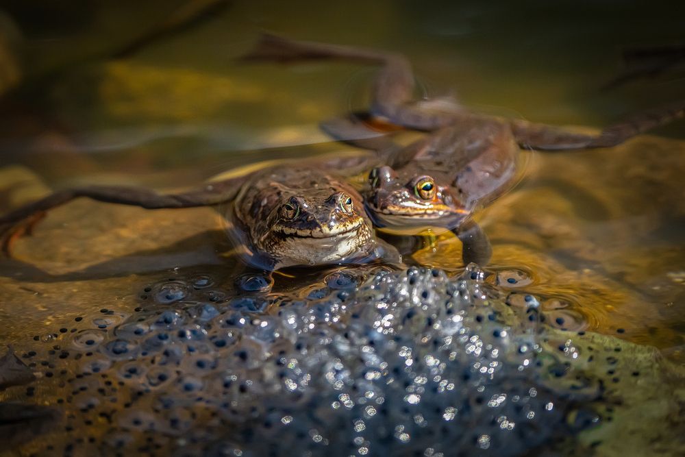 Photograph by Ольга Мусиенко