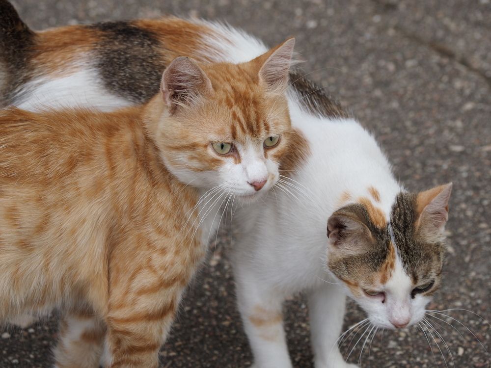 Photograph by Сергей Борисов