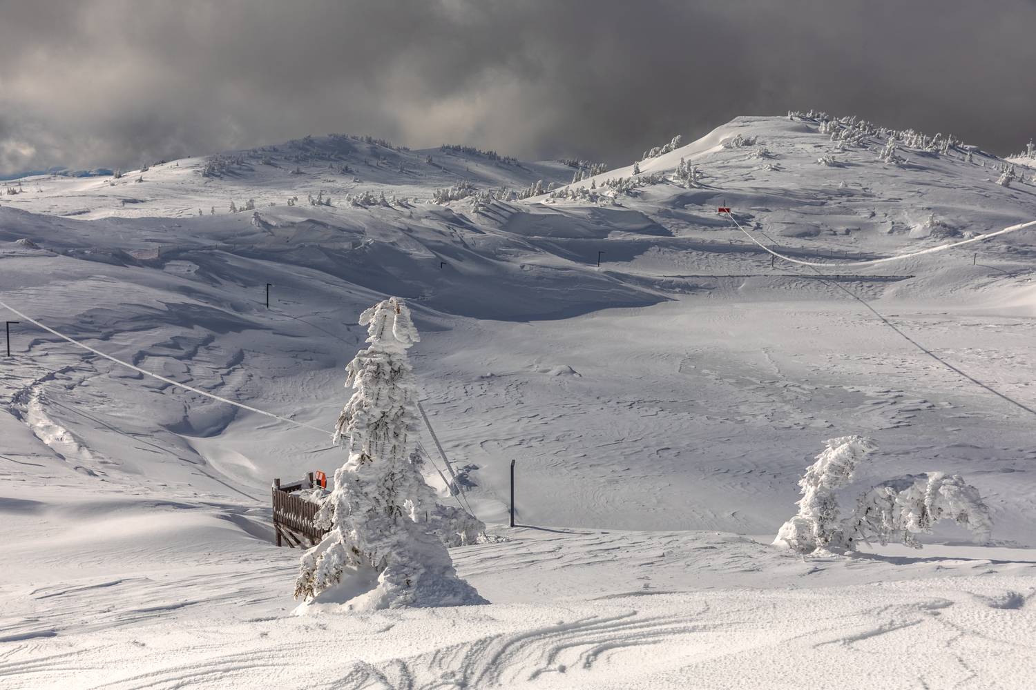 Фотография #13353396