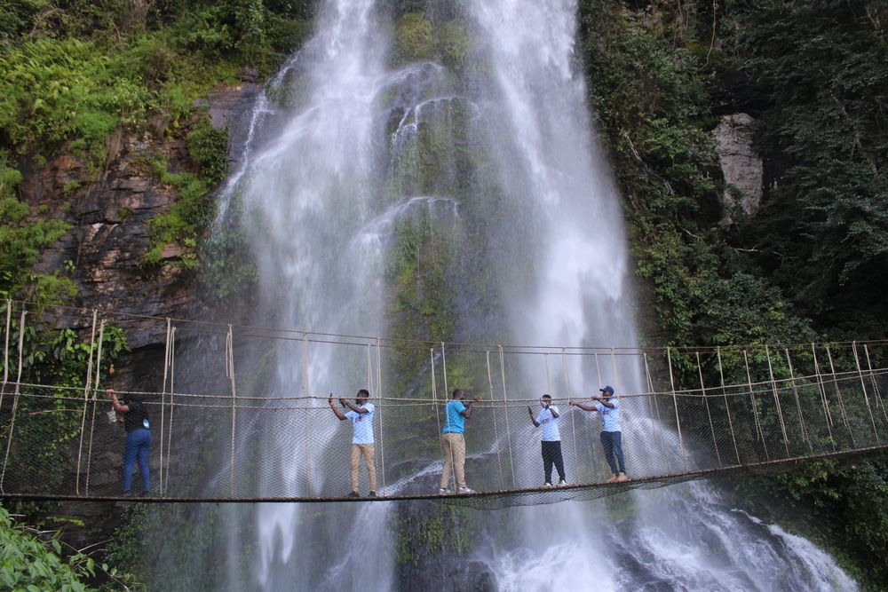 Canopy Walk by the Falls