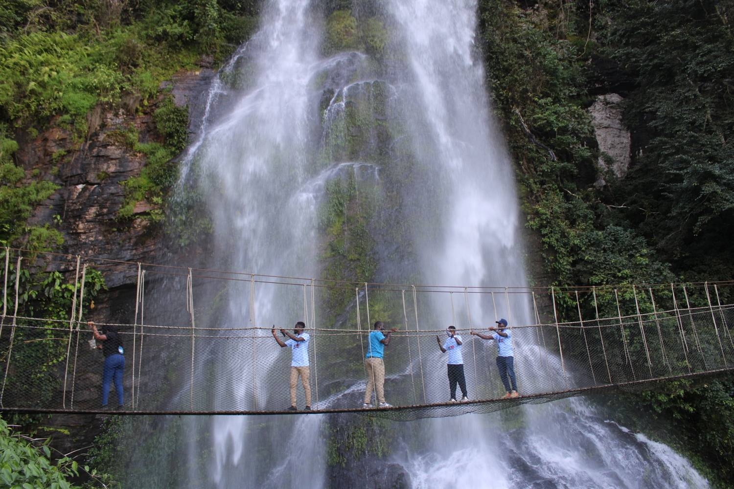 Canopy Walk by the Falls