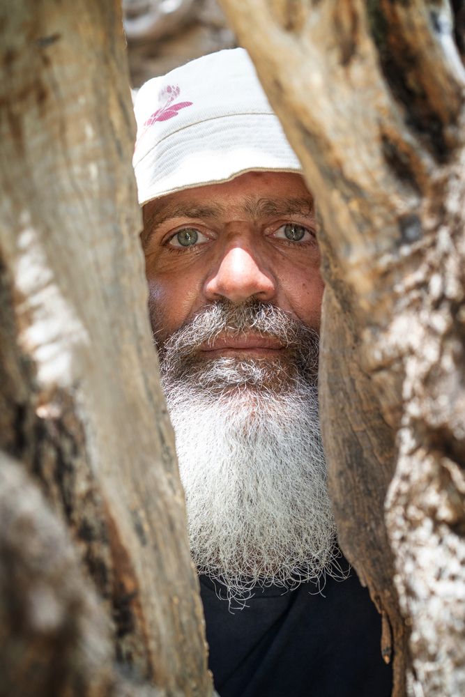 The Ancient Guardian