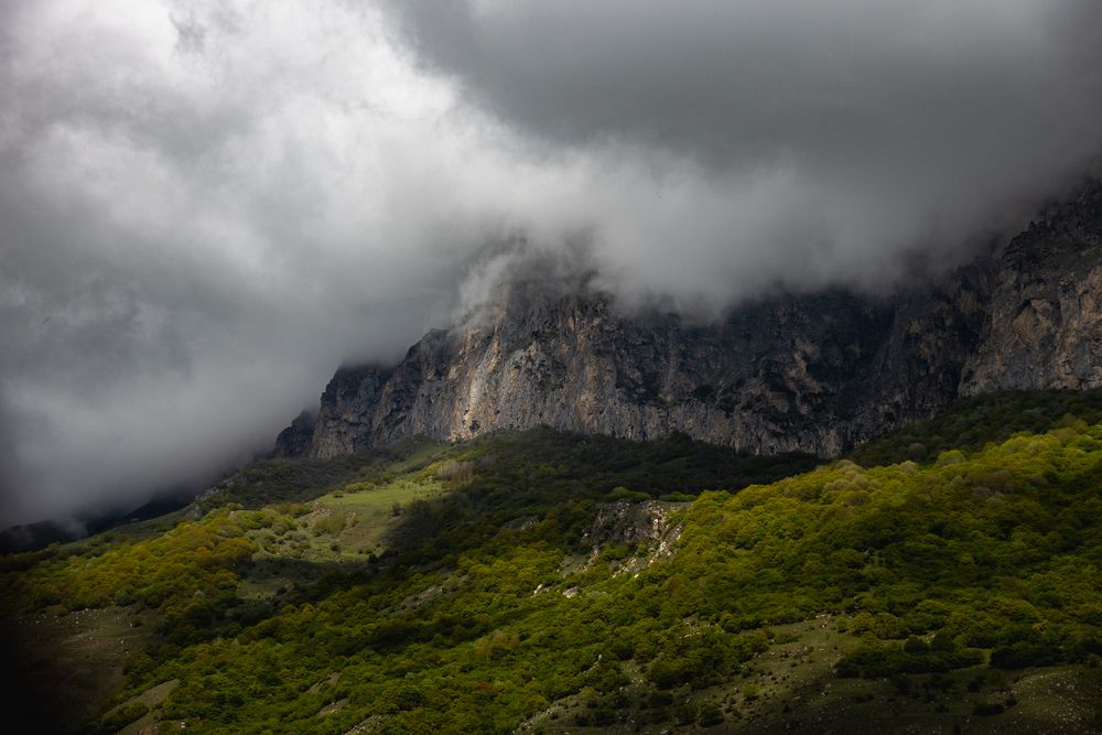 Фотография автора Раздорова Мария
