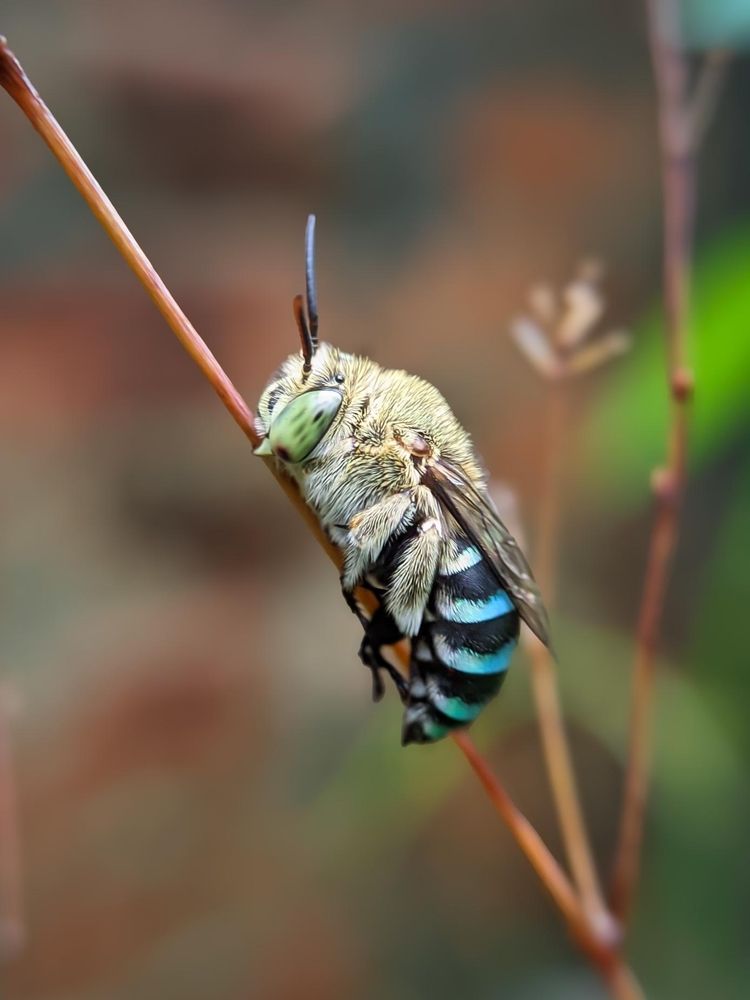 Photograph by Ameen Ahmed L