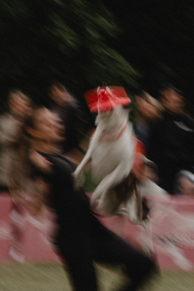 Photograph by Marcelina Dąbrowska
