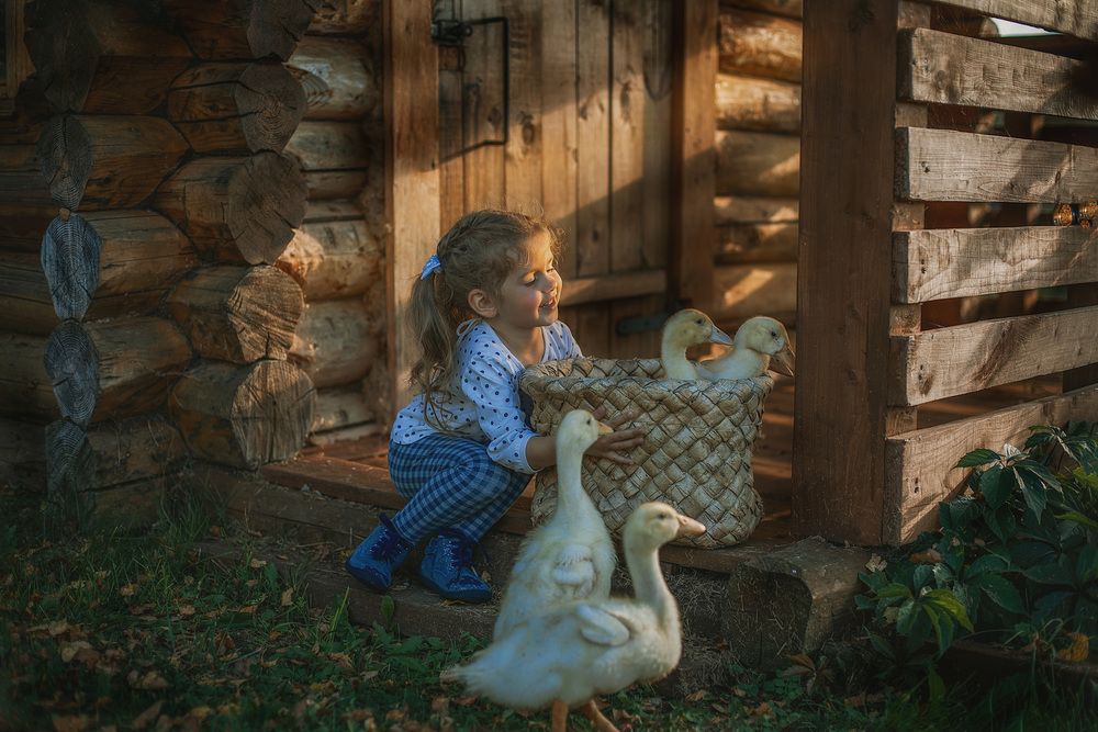 Фотография автора Ирина Ларина