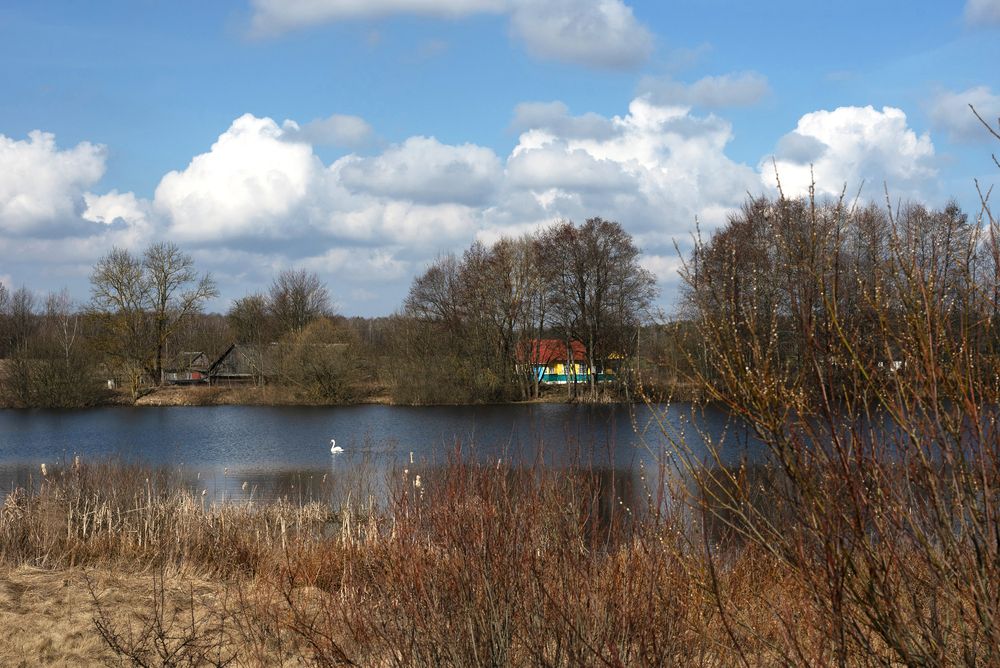 Фотография автора Наталья Почтенная