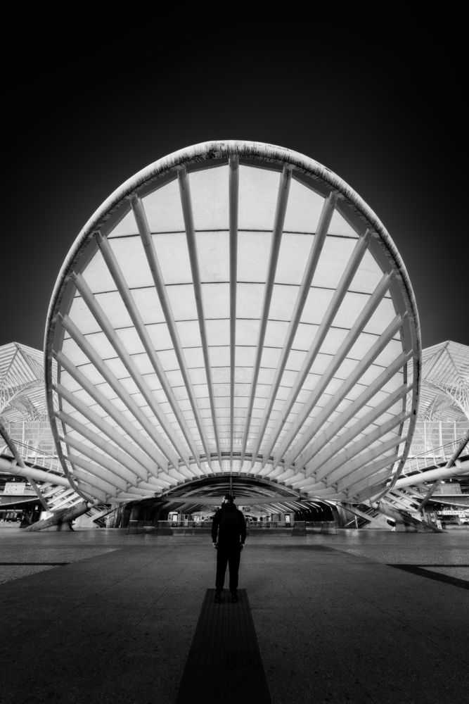 Structural Canopy